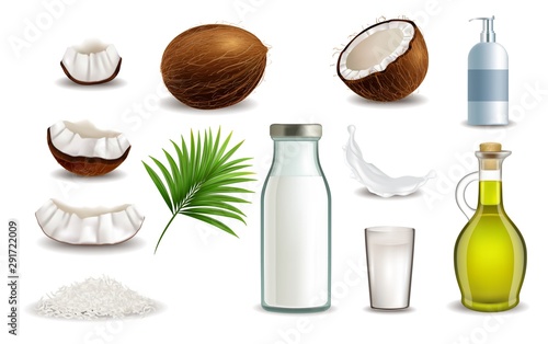 Realistic coconut fruit, vector isolated illustration on white