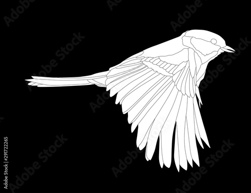 white illustration with great tit in flight silhouette