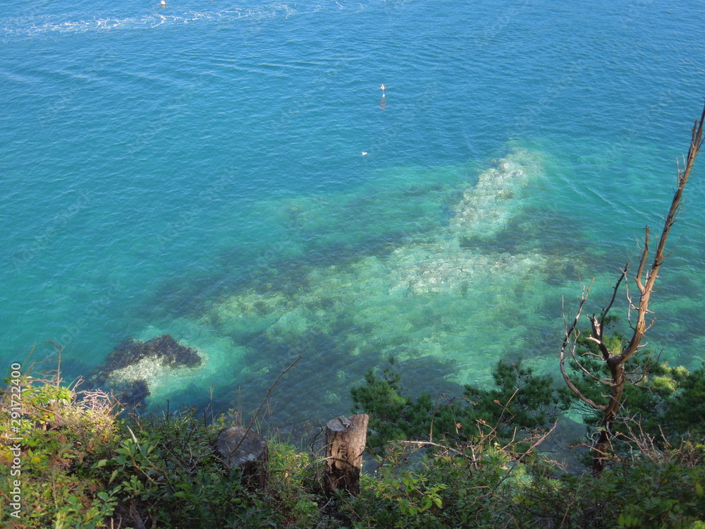 Obraz premium 海の透明さがわかる写真