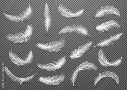 Big set of White Realistic Different Fluffy Twirled Falling Feathers Isolated on Transparency Grid Background. Design Template. Vector illustrtion