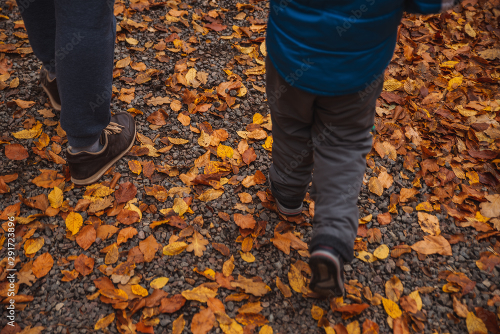 kid legs with adult walking by gravel road full of yellow autumn leaves