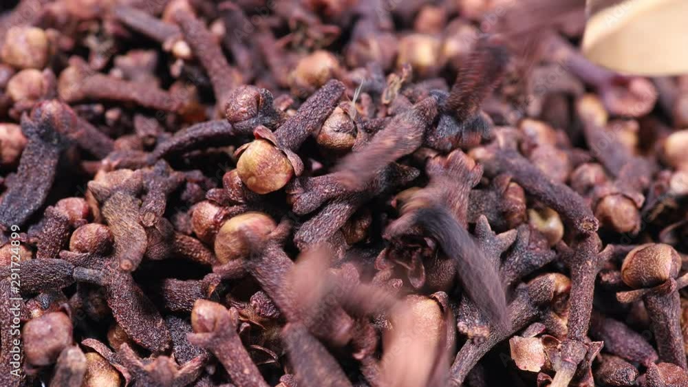 Whole Clove aromatic medicinal spice closeup Whole Clove aromatic medicinal spice closeup