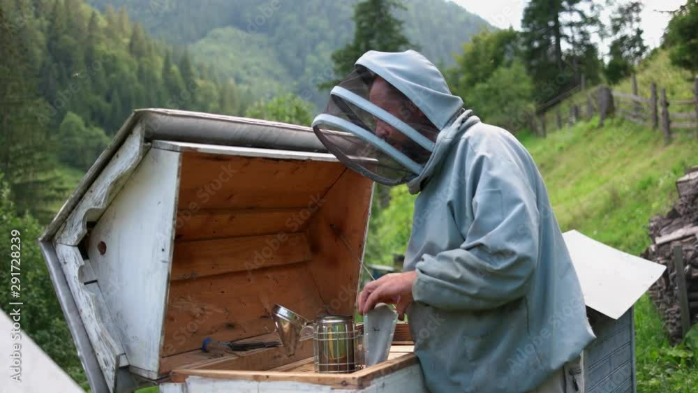 Beekeeper in protective uniform working at apiary. Beekeeper working with beehive in summer. Organic honey production. Beekeeper in protective uniform working at apiary. Beekeeper working with beehive in summer. Organic honey production.