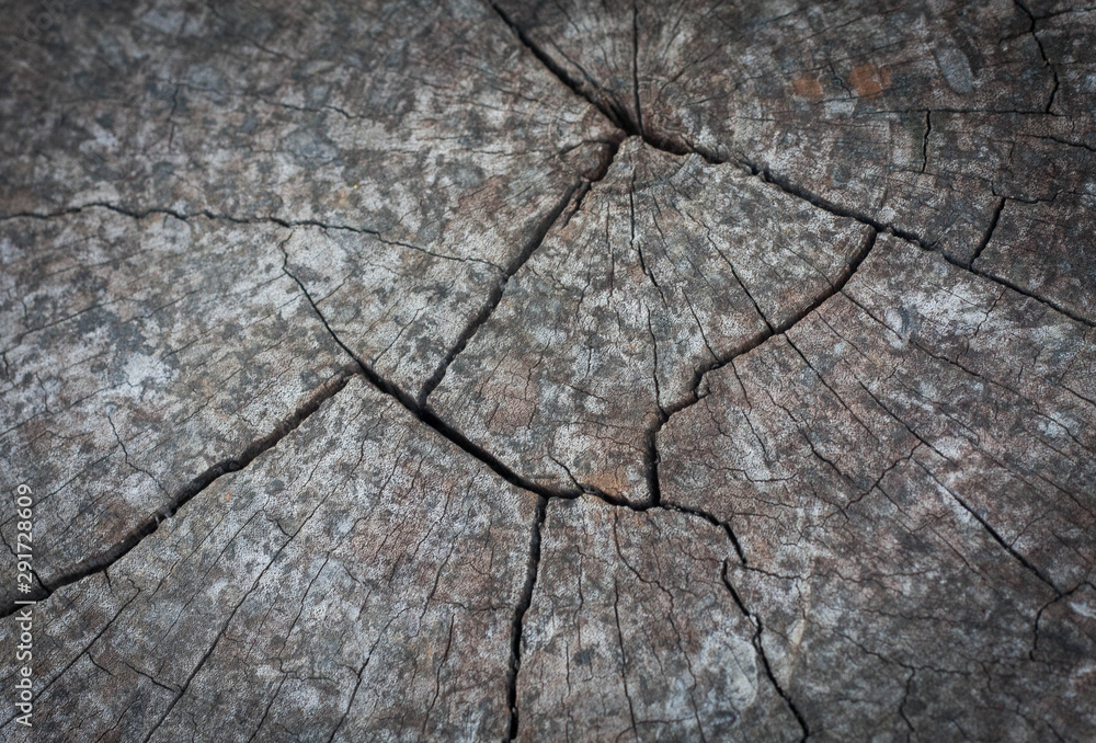 Obraz premium cracked wood texture. wood and moutain background.