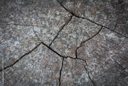 cracked wood texture. wood and moutain background.