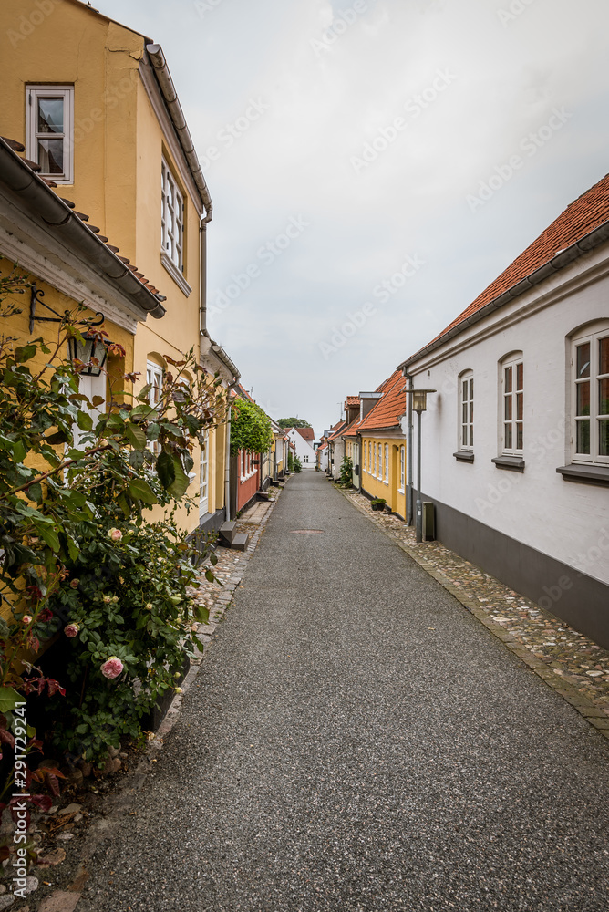 a long street with roses under a bright sky