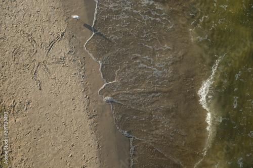 Möew am Strand, von oben fotografiert photo