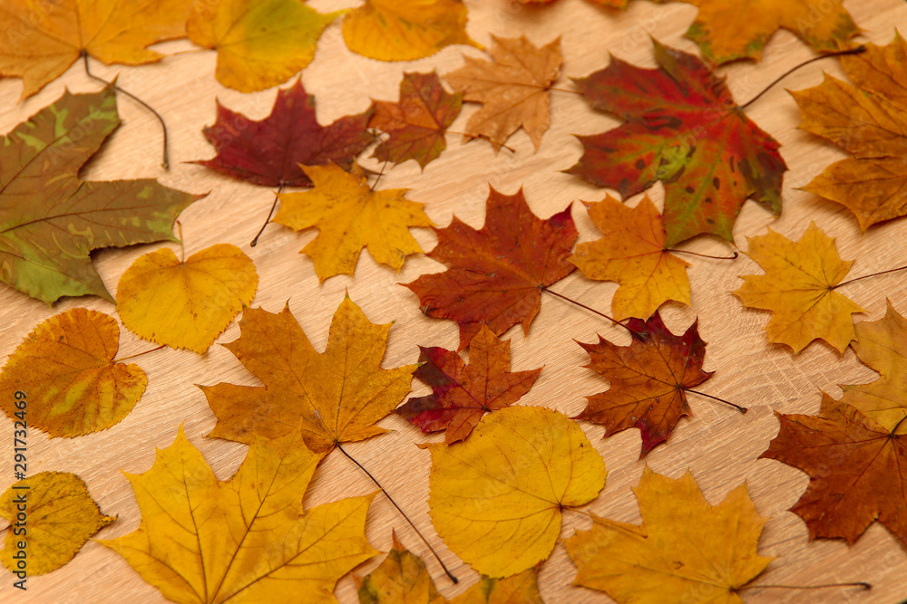 Autumn background. Maple yellow and red leaves on a wooden background. Top view, close-up. Concept of the seasons. Autumn background. Maple yellow and red leaves on a wooden background. Top view, close-up. Concept of the seasons.