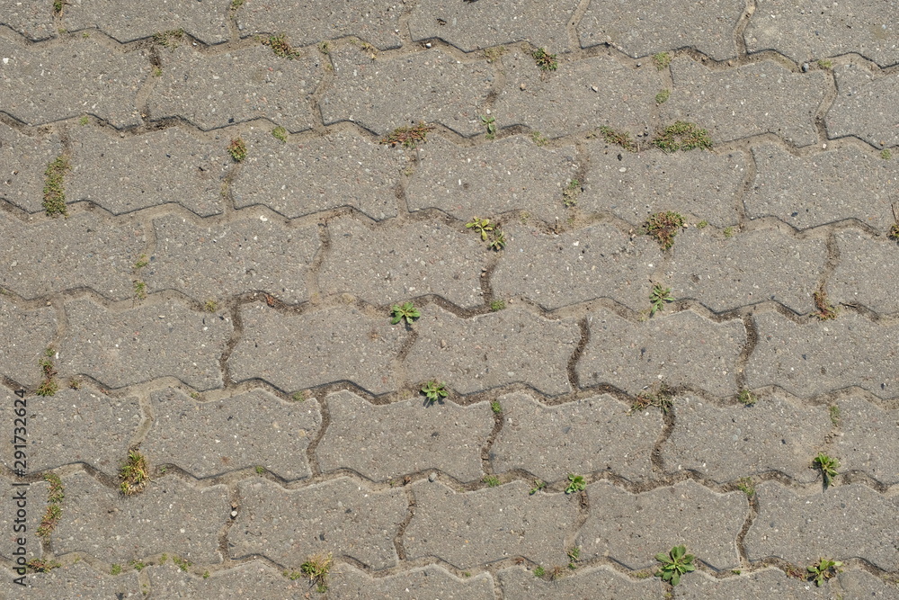 Fototapeta premium Pflastersteine