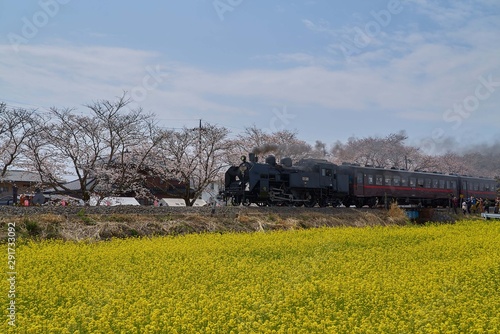 真岡鐡道　蒸気機関車