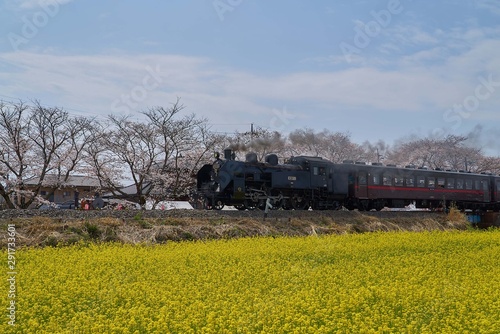 真岡鐡道 蒸気機関車