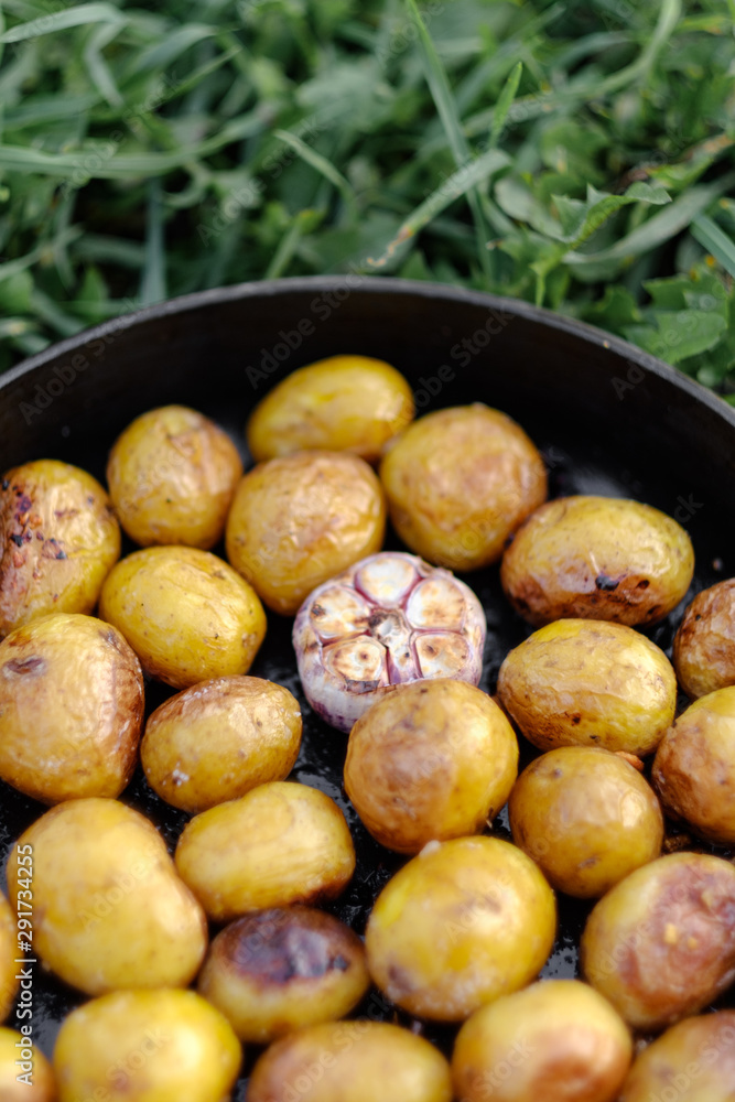 fried small potatoes in a pan lies on the grass fried small potatoes in a pan lies on the grass
