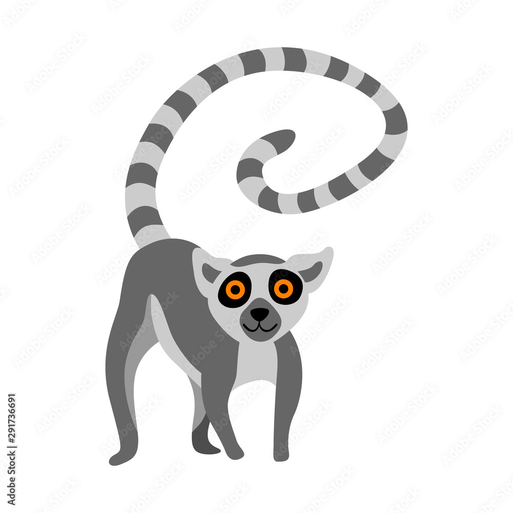 Obraz premium Ładny lemur na białym tle. Ilustracja wektorowa płaski.