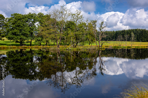 Natural peaceful lake with big green trees, water, reflection and blue cloudy sky - concept nature environment travel recreation vacation holiday water activities leisure georgeous waterside shore