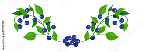 Blueberries on a branch