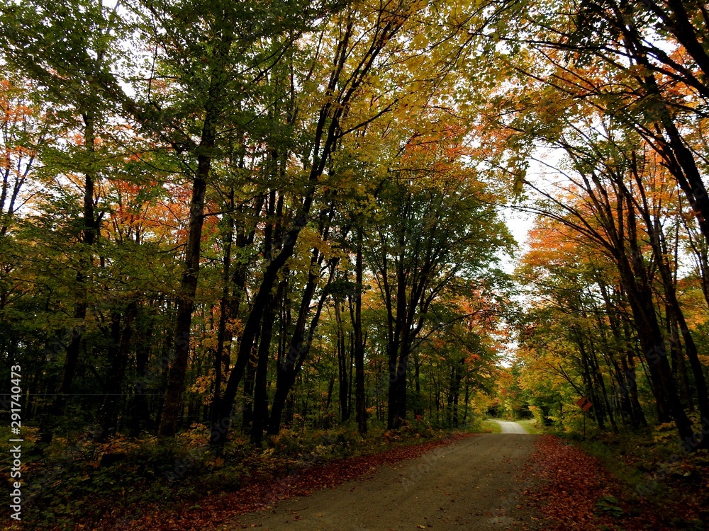The road to the resort in autumn