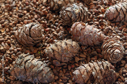 A few cedar cones on a scattering of pine nuts.
