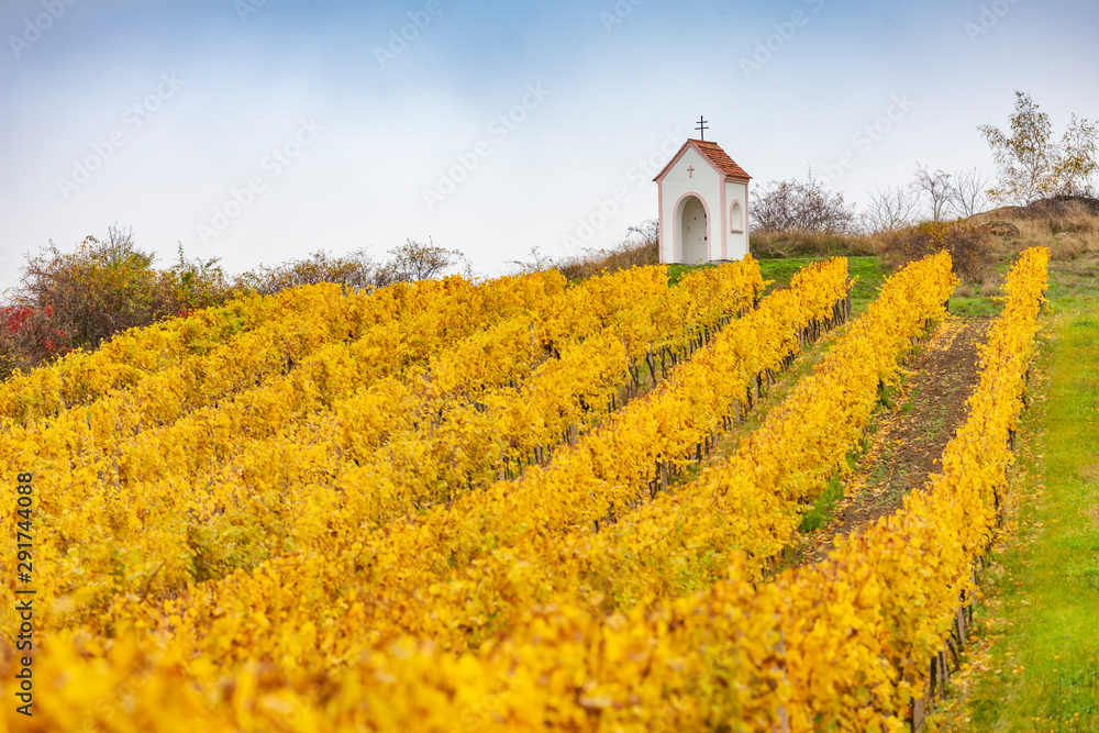 God's torture near Hnanice with autumnal vineyard, Southern Moravia, Czech Republic