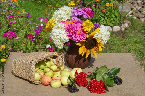 A basket with scattered apples  a bouquet of flowers in a jug and berries of viburnum and mountain ash on the table in the garden