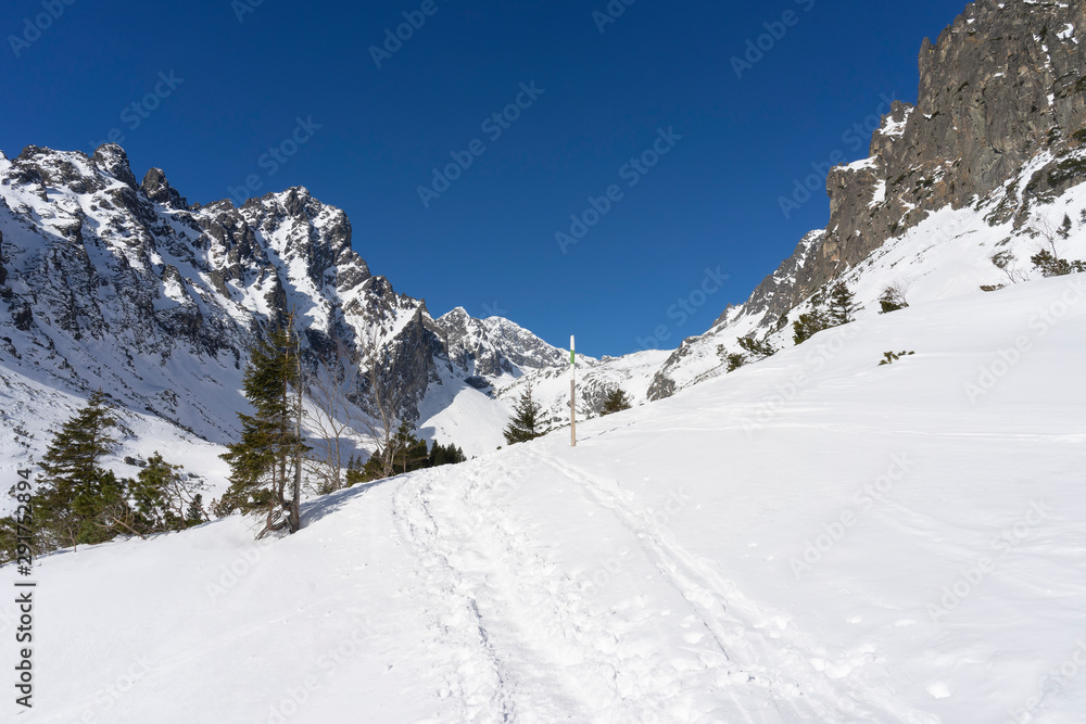 Obraz premium Mala Studena dolina in the winter. Tatra Mountains. Slovakia.