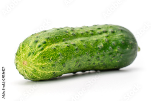 One whole fresh pickling cucumber isolated on white background