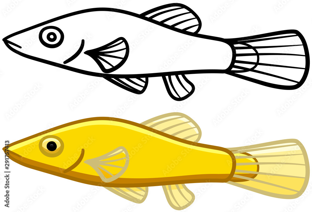 Chinese Algae Eater in colored and line versions