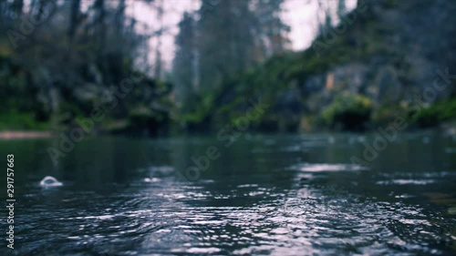 Close up, rain droplets on forest pond background