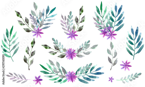 Set of five compositions with twigs and flowers  watercolor branches and purple flowers