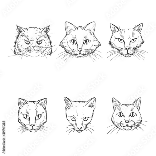 Vector Set of Sketch Cats Faces.