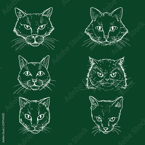 Vector Set of Chalk Sketch Cats Faces. Feline Portraits.