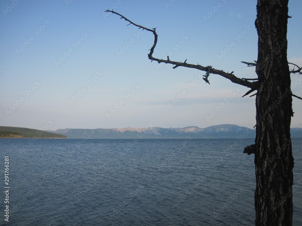 Lake with tree 