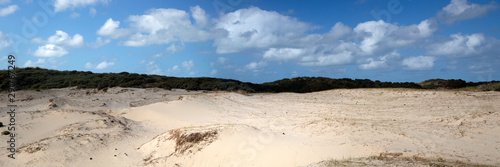 Panorama of sand drift in Dutch dunes; Zeeland , Netherlands