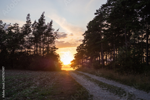 Landschaft im Spätsommer