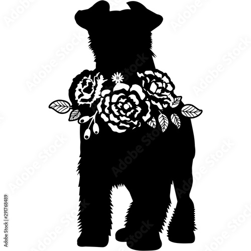 Miniature Schnauzer Dog Silhouette Vector