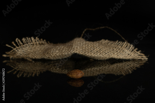 One whole front focus brown almond nut with jute fabric isolated on black glass