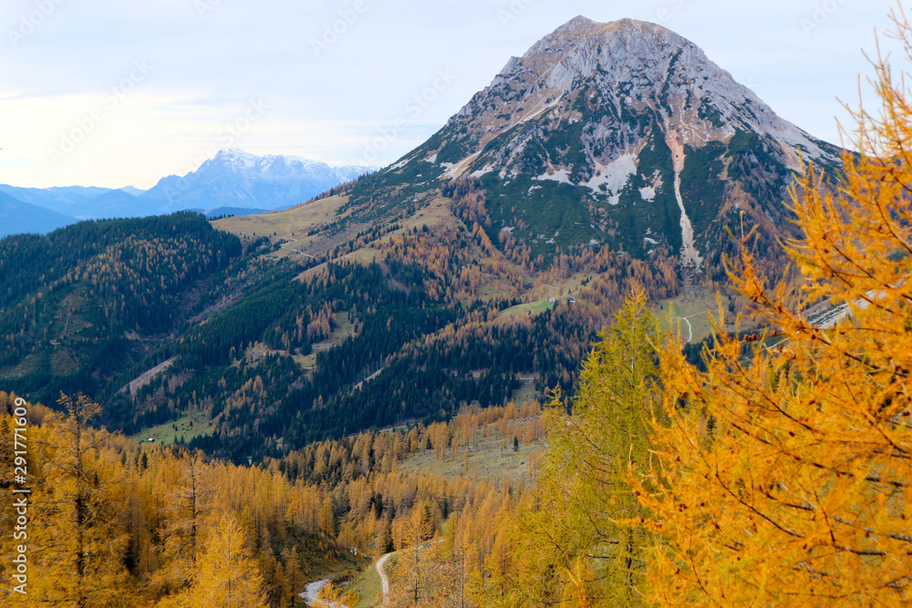 Bright yellow autumn forest with the alpine valley on the background