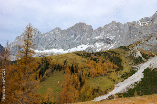 Autumn view of the alps mountains with colorful forest and snowy peaks © Sergei Timofeev