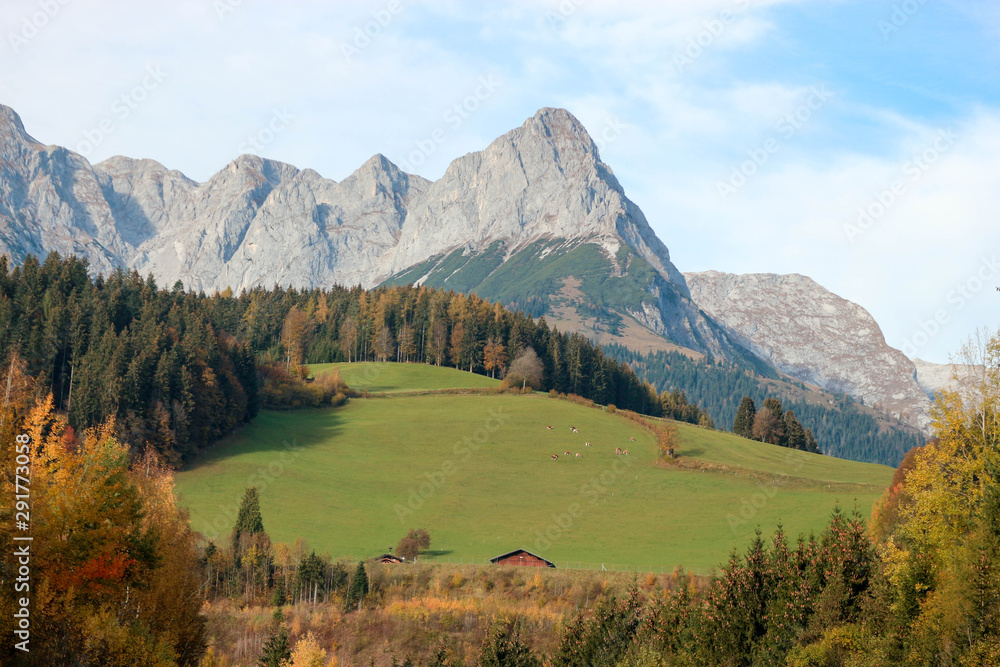Scenic alps autumn landscape with alpine meadow, colorful forest and mountains