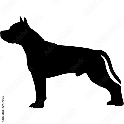American Staffordshire Terrier  Silhouette Vector