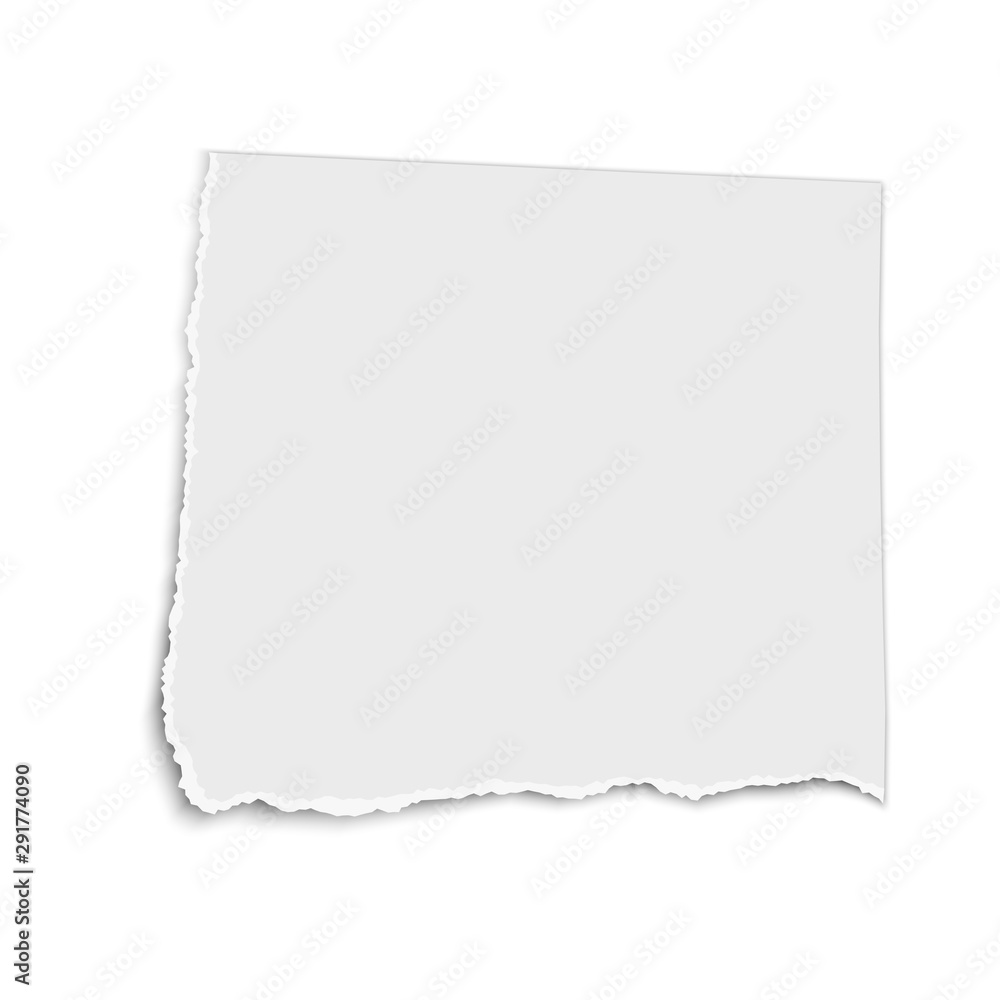 White vector square paper tear isolated on white