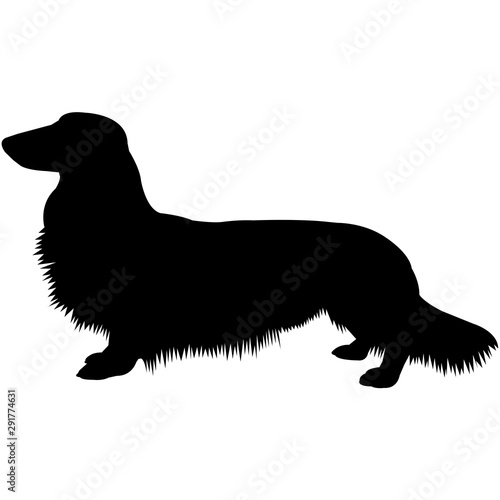 Dachshund (Longhaired)  Silhouette Vector