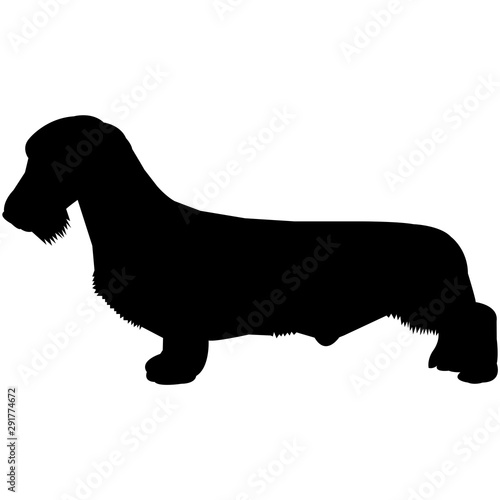 Dachshund (Wirehaired)  Silhouette Vector