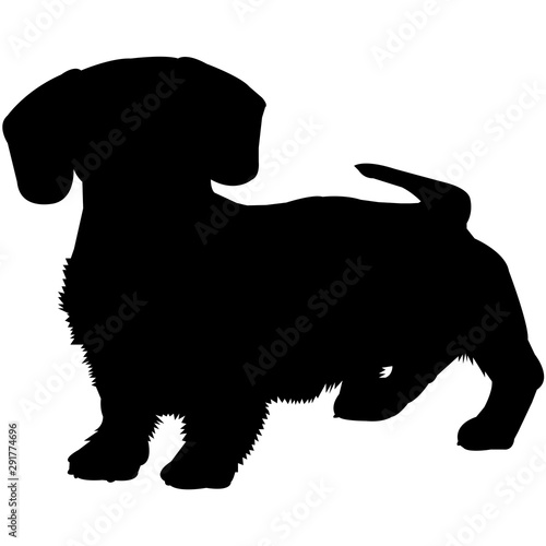 Dachshund (Wirehaired)  Silhouette Vector