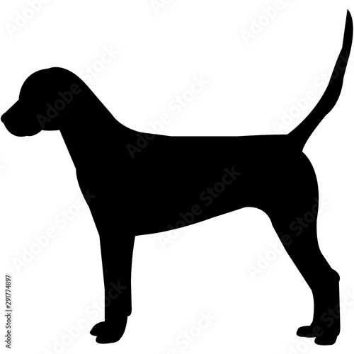 English Foxhound  Silhouette Vector