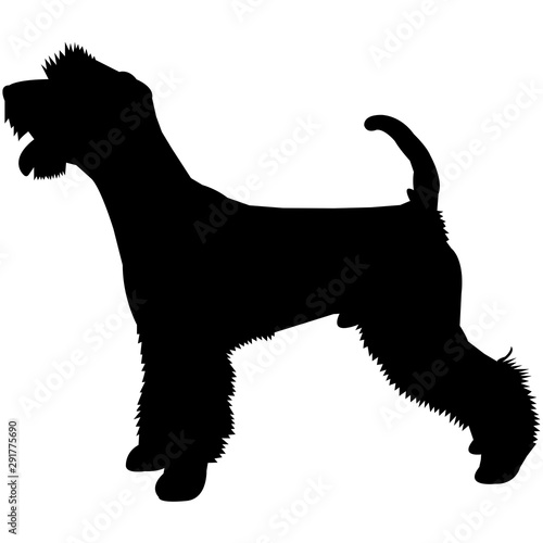 Obraz na plátně Lakeland Terrier  Silhouette Vector