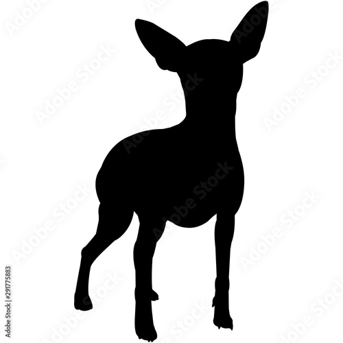 Miniature Pinscher  Silhouette Vector