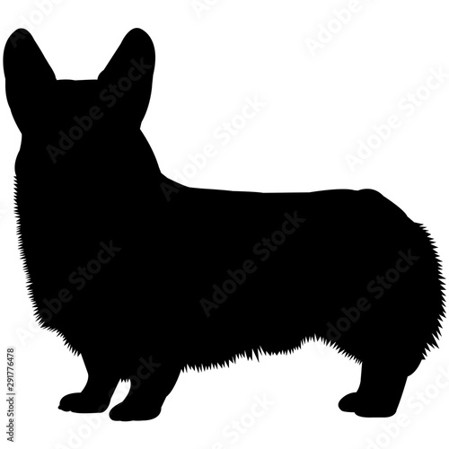 Pembroke Welsh Corgi  Silhouette Vector photo