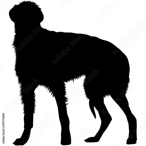 Scottish Deerhound  Silhouette Vector
