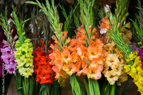 Fényképezés Beautiful bouquets of multi-colored gladioli in a vase.