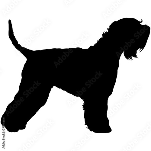 Soft Coated Wheaten Terrier  Silhouette Vector